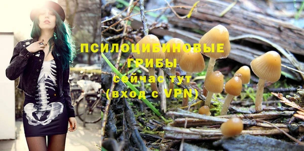 марки lsd Бугульма