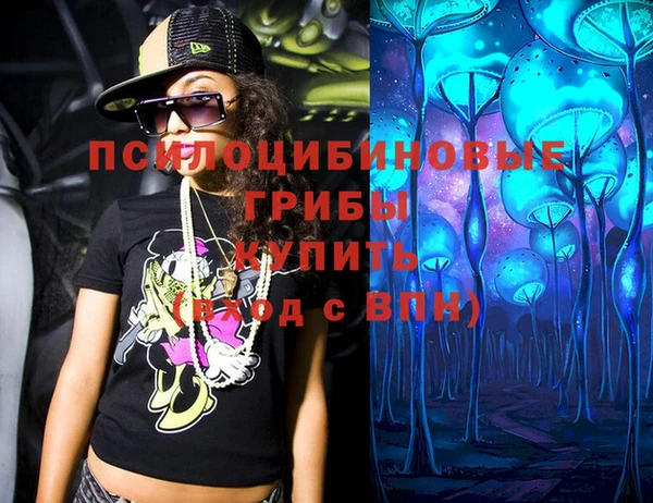соль ск Бородино