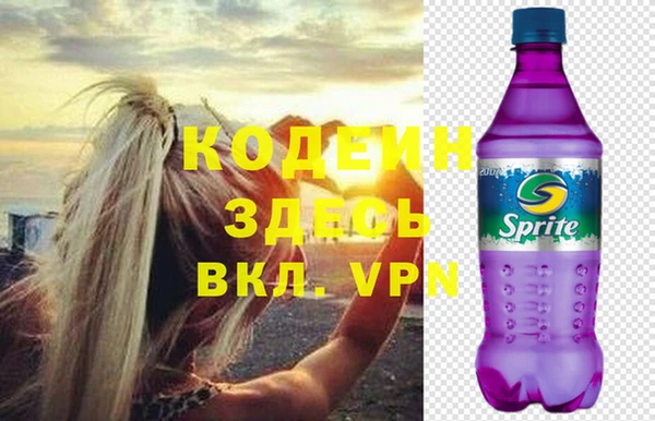 соль ск Бородино