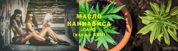 соль ск Бородино